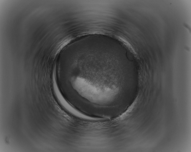 X0000093230977200709261649
