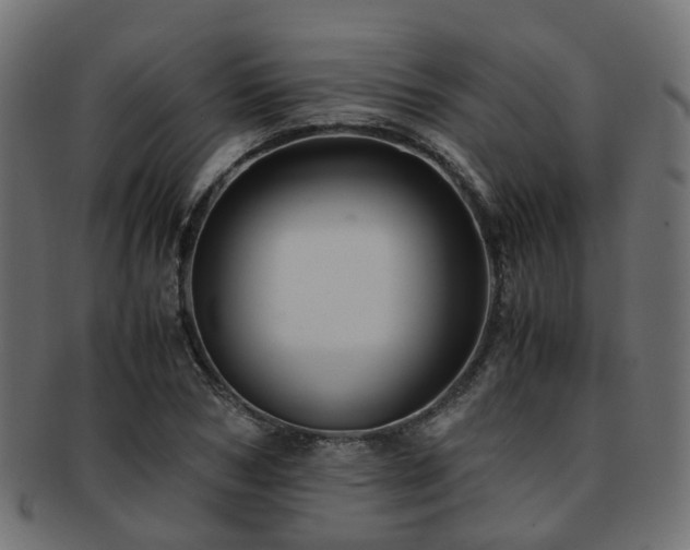 X0000093230978200709261649