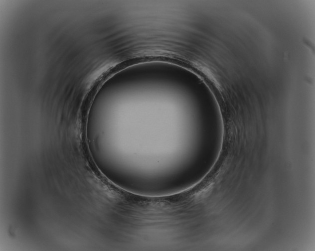 X0000093230979200709261649