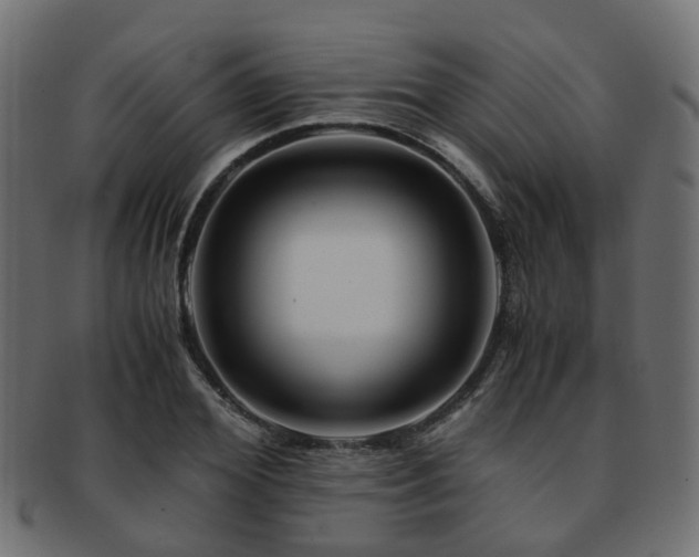 X0000093230980200709261648