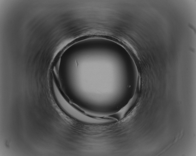 X0000093230981200709261648