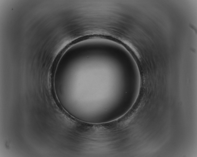 X0000093230983200709261648