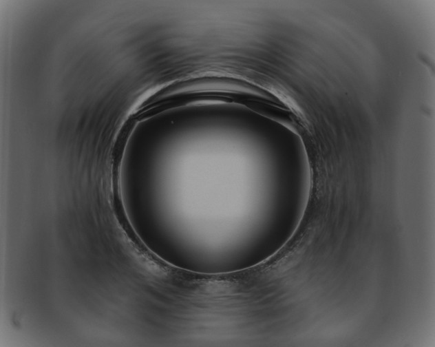 X0000093230984200709261648