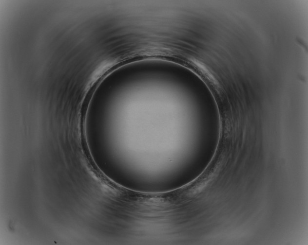 X0000093230986200709261648