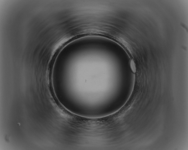 X0000093230987200709261648