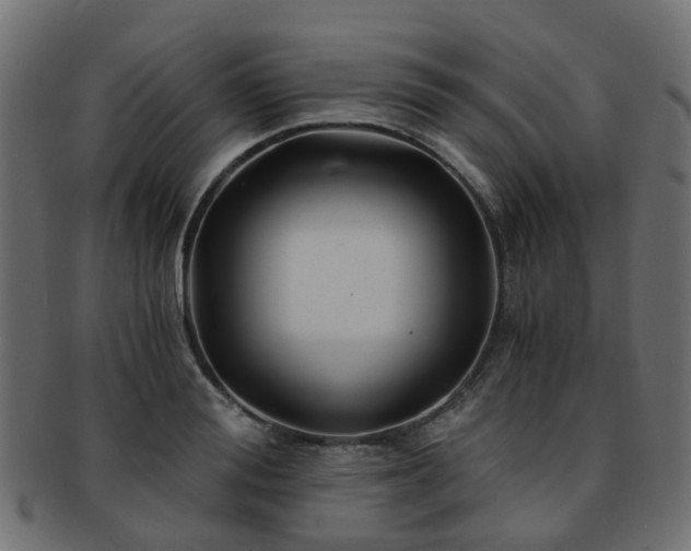 X0000093230988200709261648
