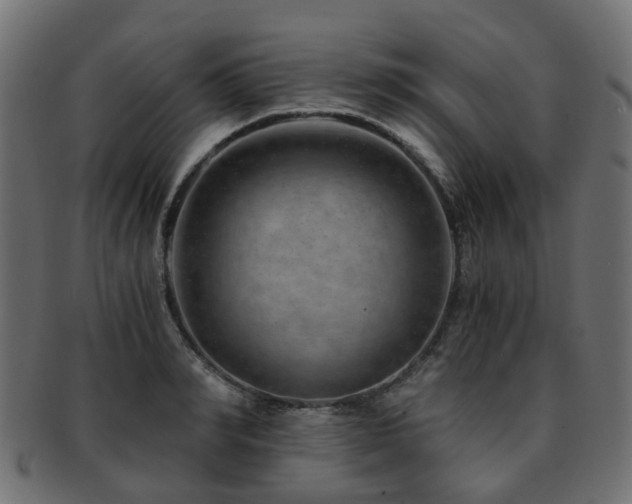 X0000093230990200709261648