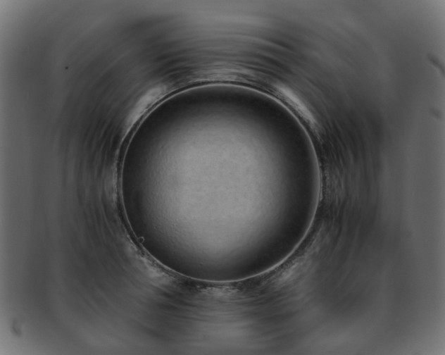X0000093230994200709261648