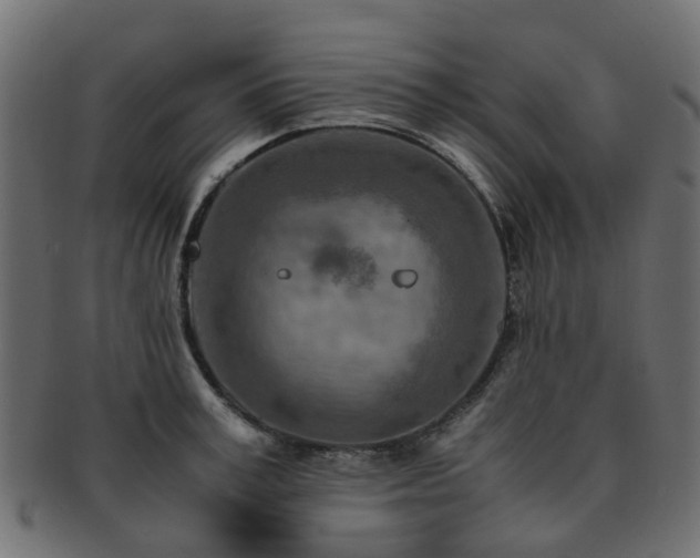 X0000093230995200709261648