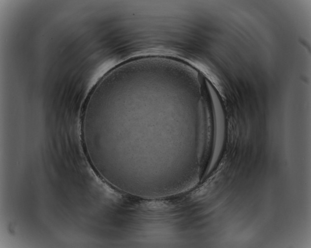 X0000093230998200709261648