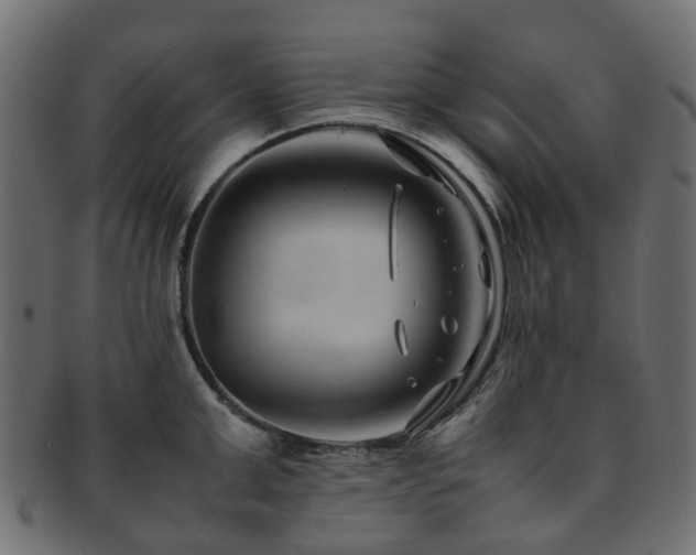 X0000093230999200709261648