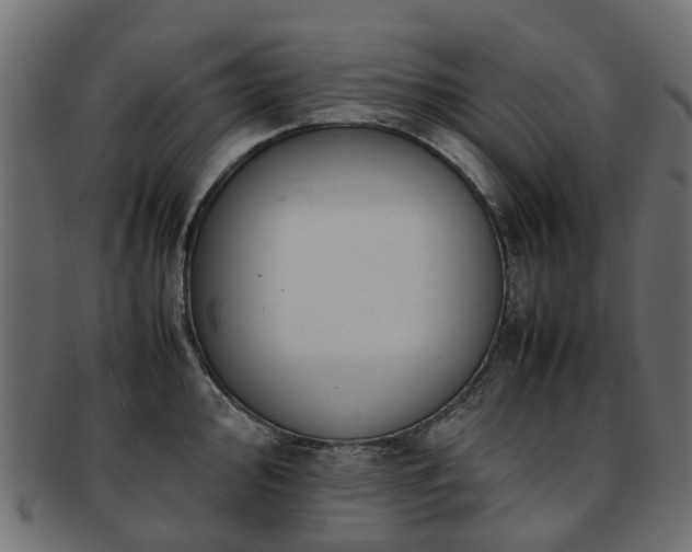 X0000093231000200709261648