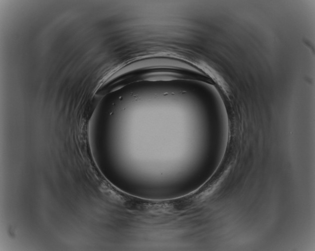 X0000093231001200709261648