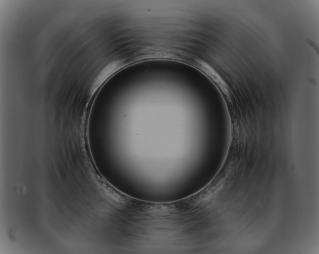 X0000093231002200709261648