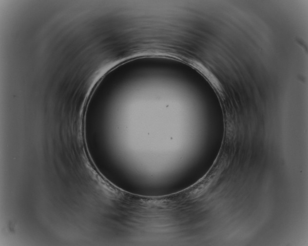 X0000093231004200709261648