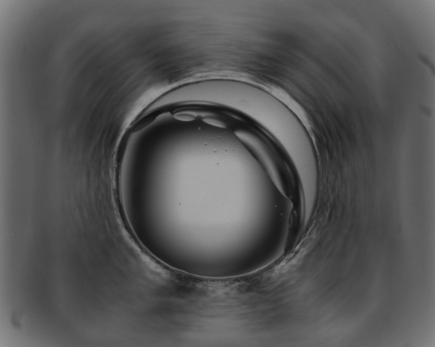 X0000093231005200709261648