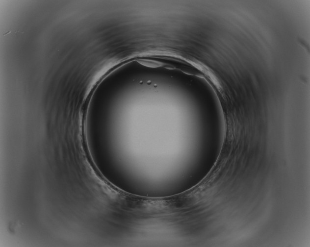 X0000093231006200709261648