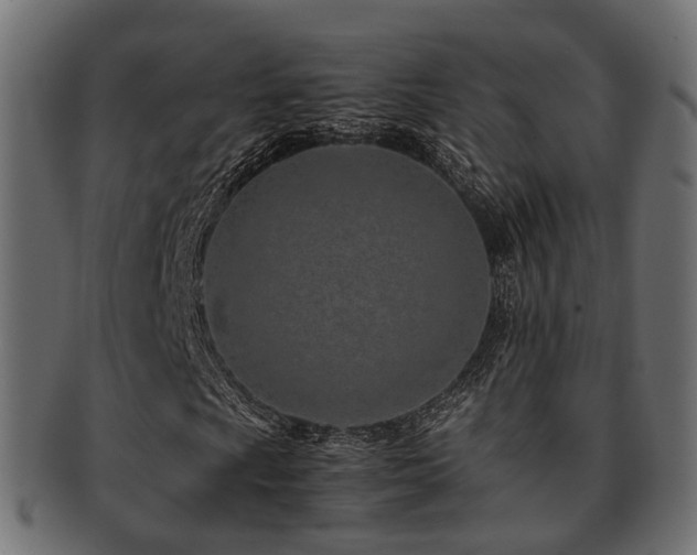 X0000093231009200709261648