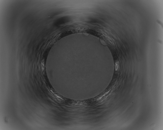 X0000093231011200709261648