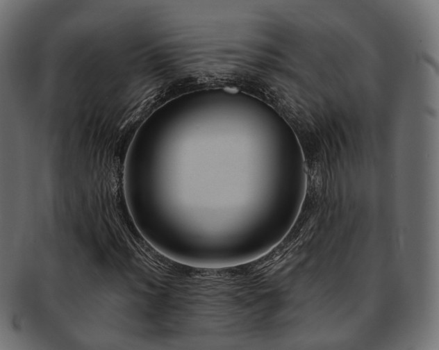 X0000093231012200709261648