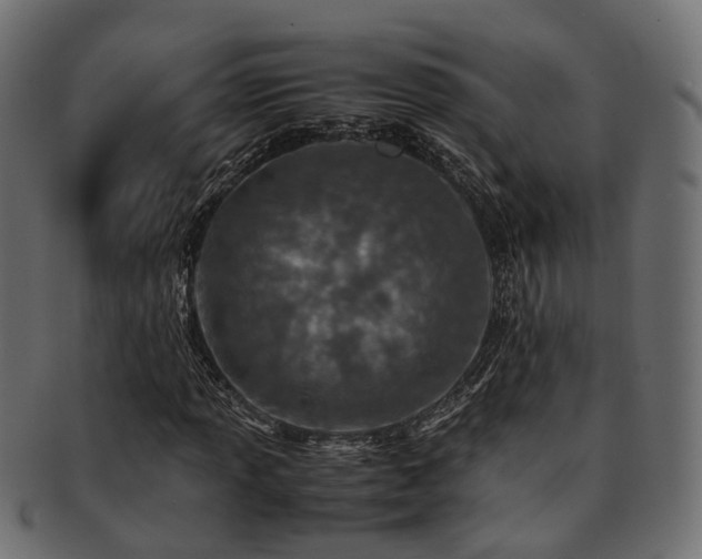 X0000093231013200709261648