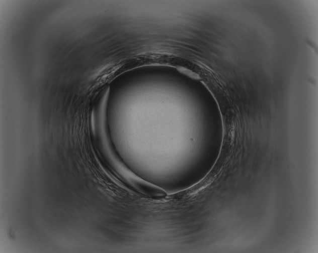 X0000093231014200709261648