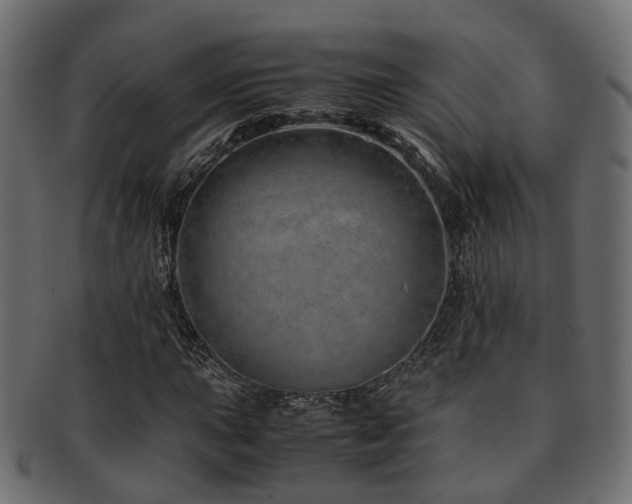 X0000093231015200709261648