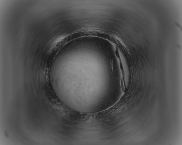 X0000093231016200709261648
