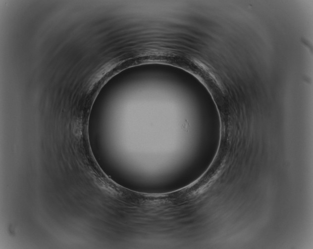 X0000093231017200709261648