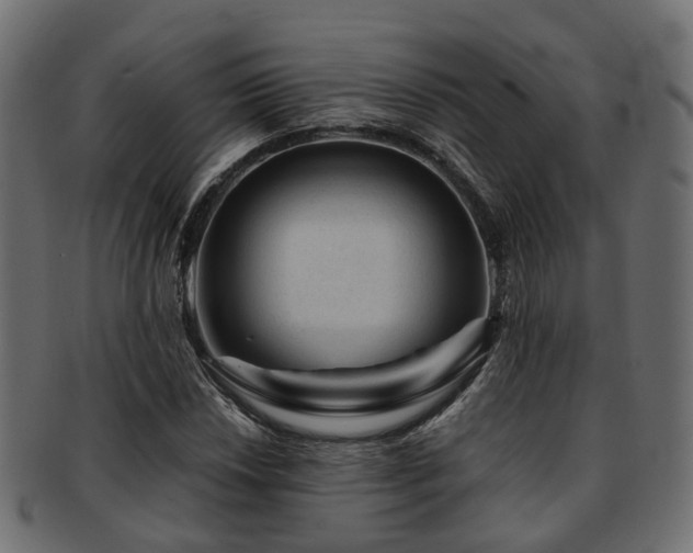 X0000093231018200709261648