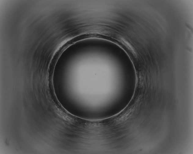 X0000093231020200709261648