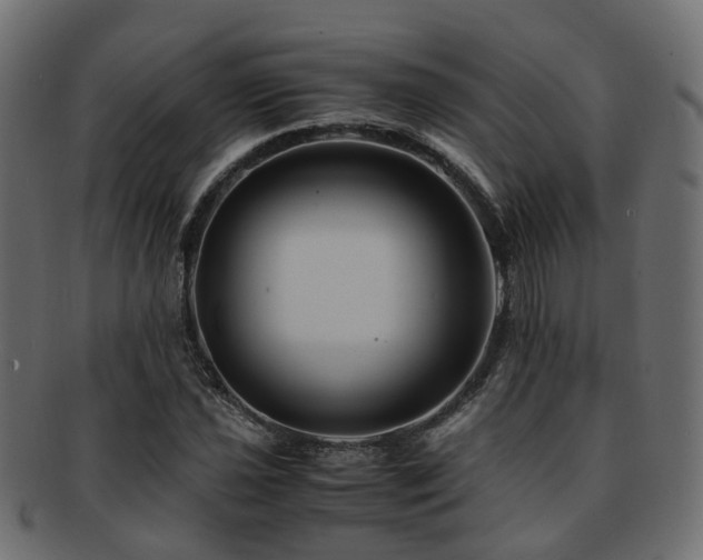 X0000093231021200709261648