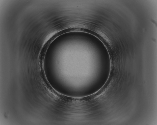 X0000093231022200709261648