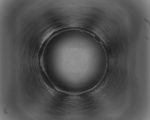 X0000093231023200709261648