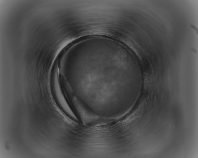 X0000093231024200709261648