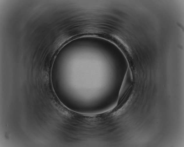 X0000093231025200709261648