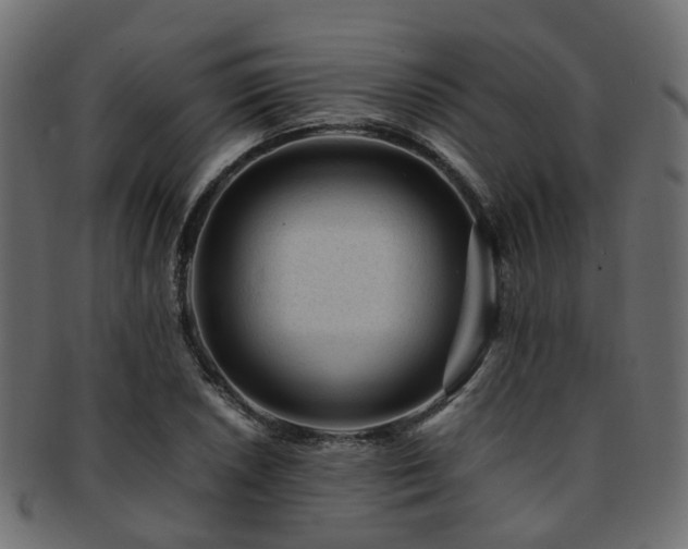 X0000093231026200709261648