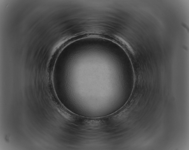 X0000093231027200709261648