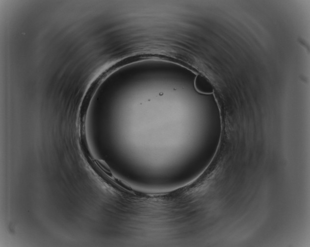 X0000093231028200709261648