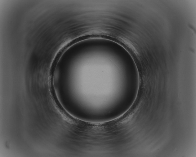 X0000093231029200709261648