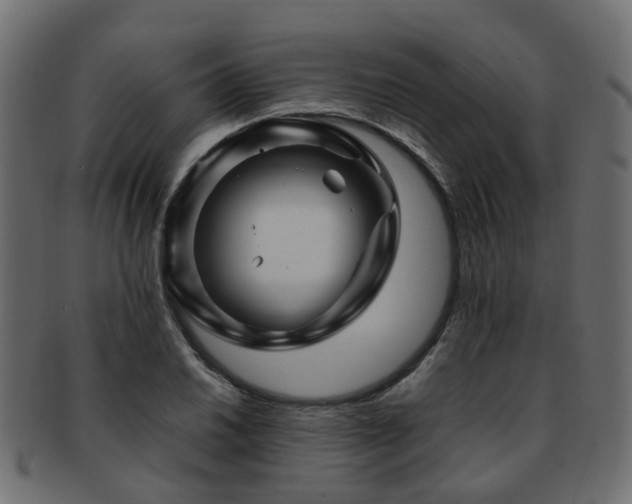 X0000093231030200709261648