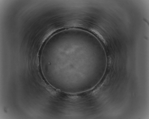 X0000093231031200709261648