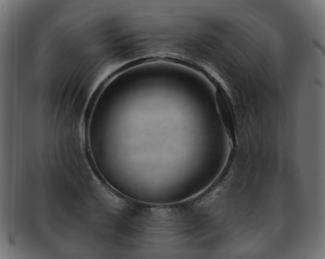 X0000093231032200709261648