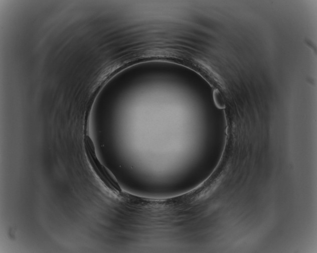 X0000093231033200709261648