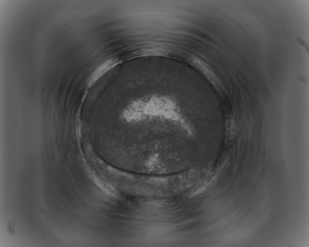 X0000093231034200709261648