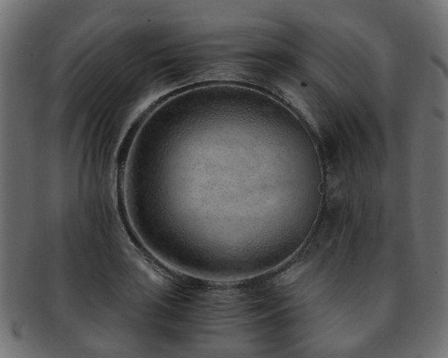 X0000093231035200709261648