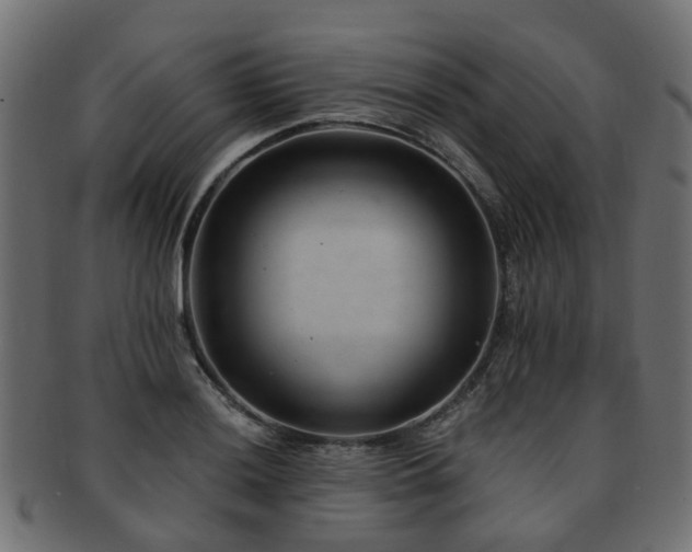 X0000093231036200709261648