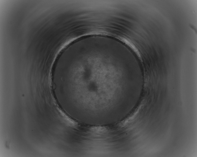 X0000093231037200709261648