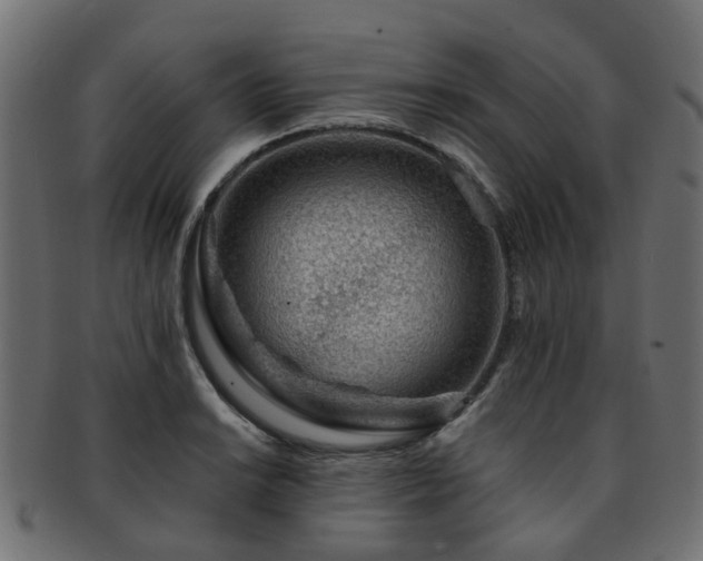 X0000093231038200709261648