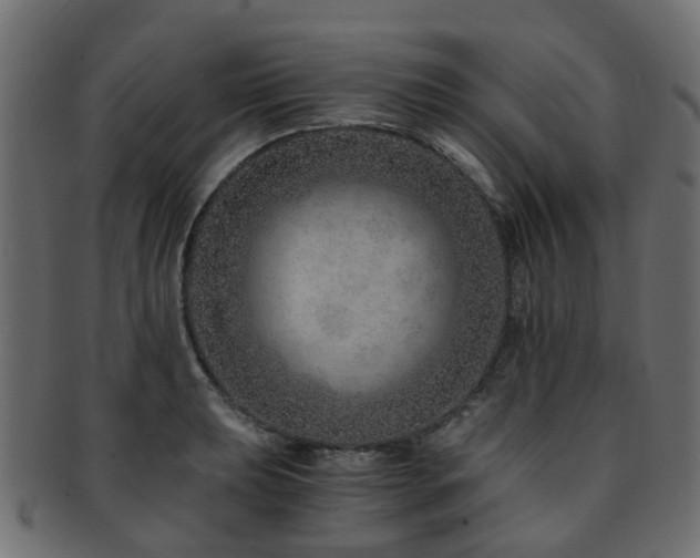 X0000093231039200709261648